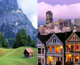 City Homes vs. Country Houses: Which Is Better?